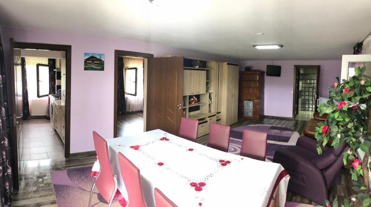 Casa De La Lac Sighetu Marmaţiei Exteriör bild